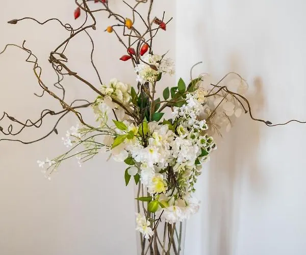 Comfort In The Heart Of Daire Bolonya