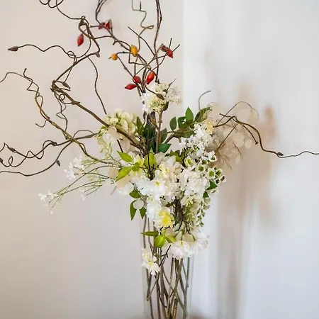 Comfort In The Heart Of Διαμέρισμα Μπολόνια